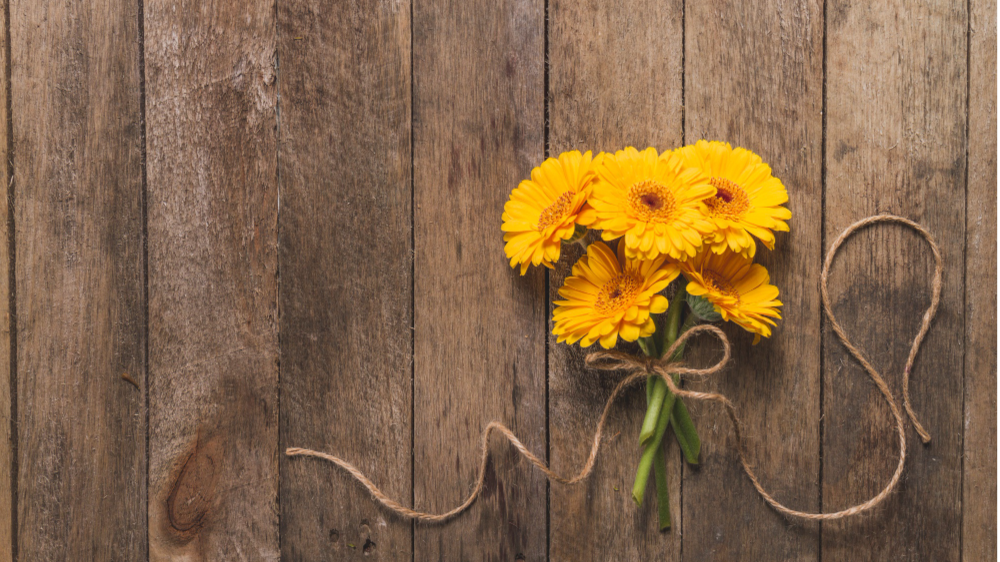 کالاندولا؛ راز طبیعی مراقبت از پوست و صورت