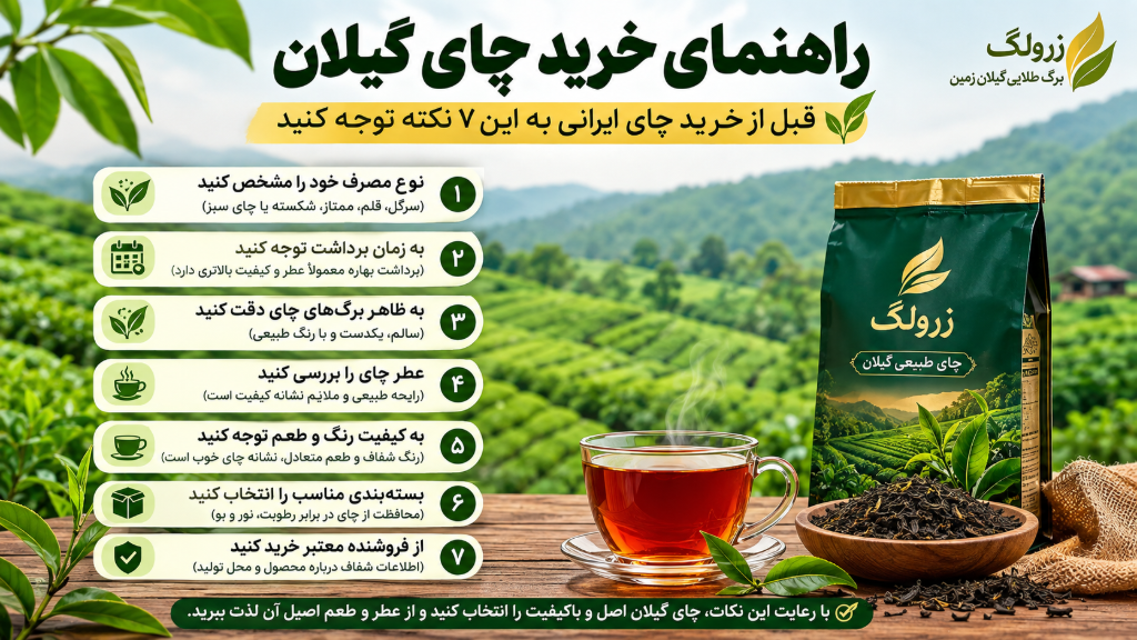 🍃 راهنمای خرید چای گیلان؛ قبل از خرید به این 7 نکته توجه کنید
