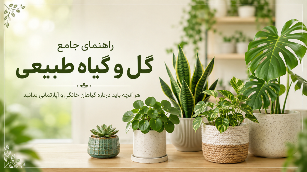راهنمای جامع درباره گل و گیاه طبیعی
