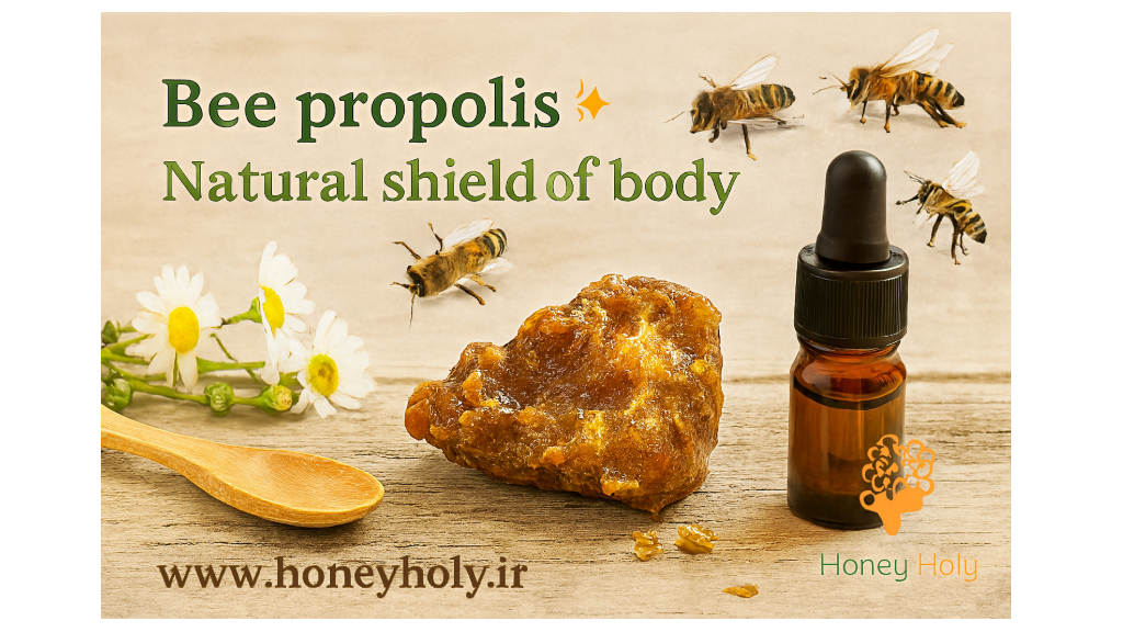 بره موم زنبورعسل؛ آنتی‌بیوتیک طبیعی و شگفت‌انگیز کندو