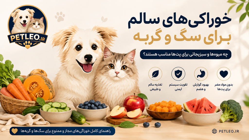 7 خوراکی سالم برای سگ و گربه + خوراکیهای ممنوع و خطرناک