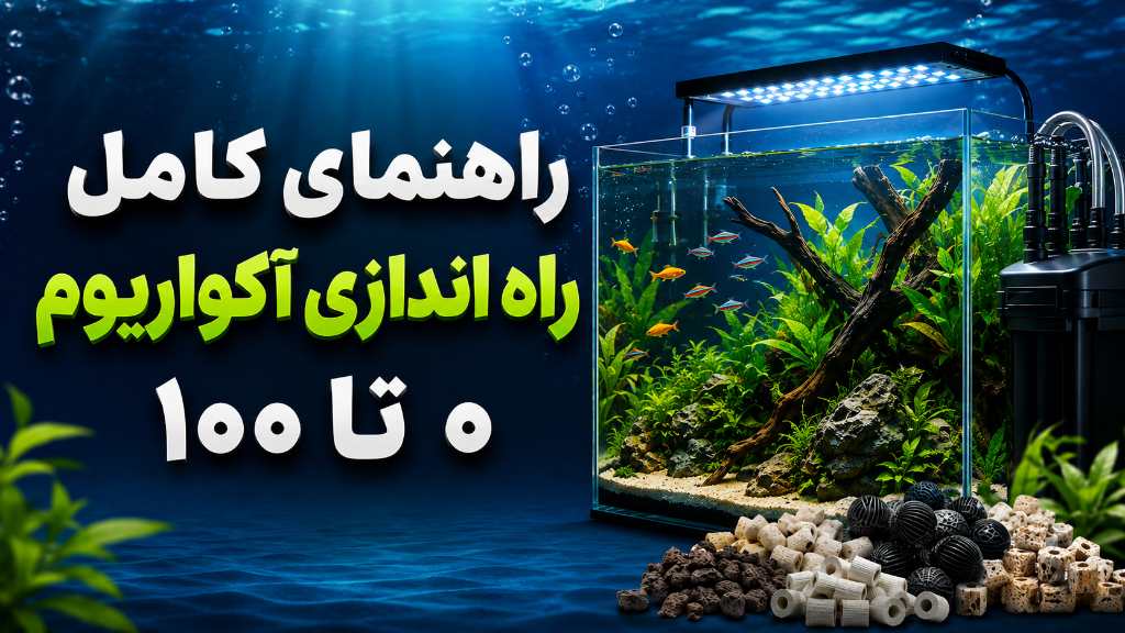 آموزش راهاندازی آکواریوم از 0 تا 100 | اهمیت سیکل