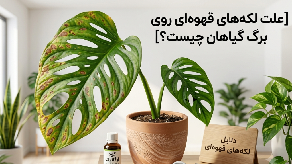 علت لکههای قهوهای روی برگ گیاهان چیست؟