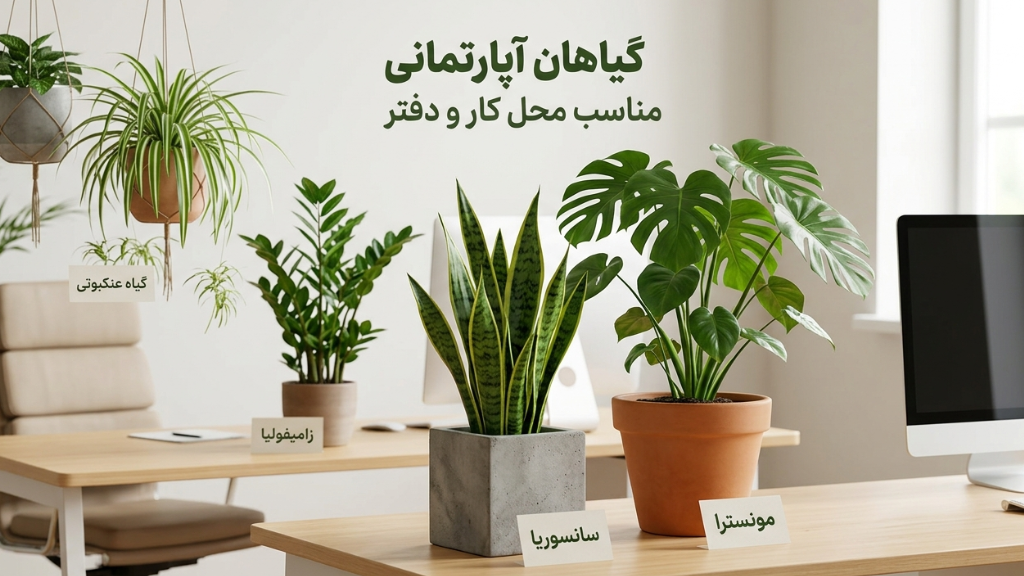 گیاهان آپارتمانی مناسب محل کار و دفتر