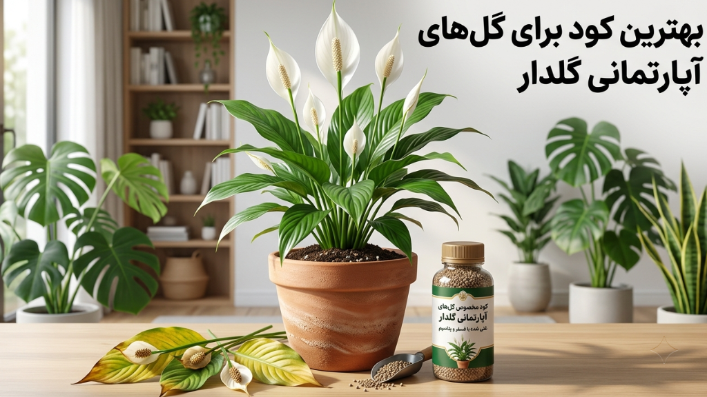 بهترین کود برای گل‌های آپارتمانی گلدار