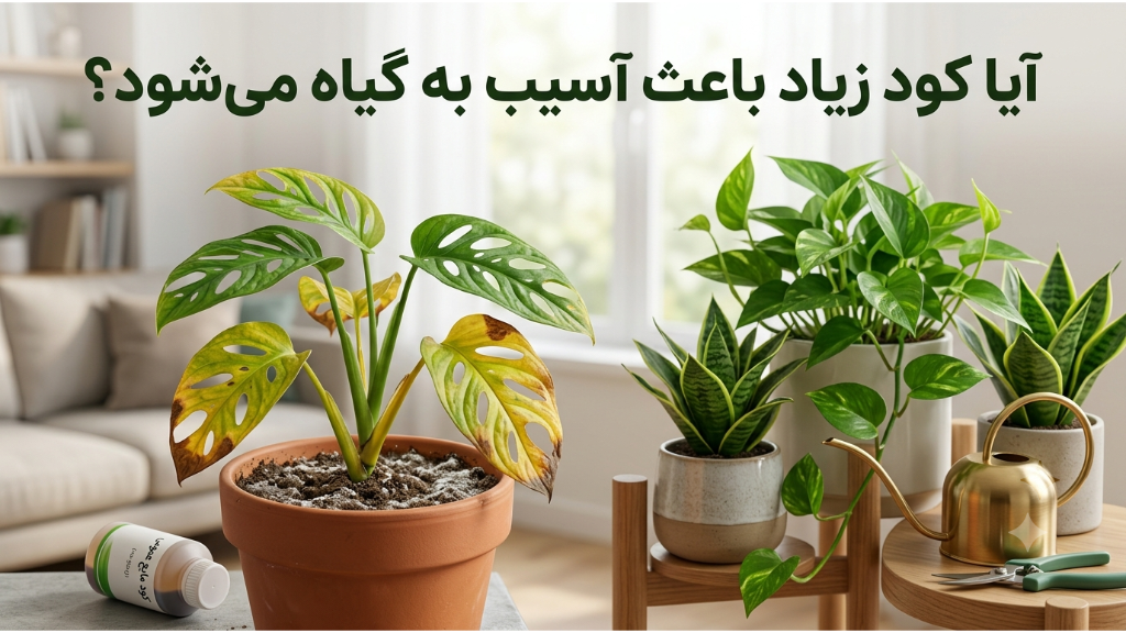 آیا کود زیاد باعث آسیب به گیاه می‌شود؟