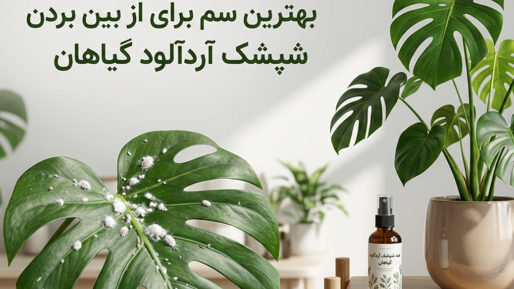 بهترین سم برای از بین بردن شپشک آردآلود گیاهان