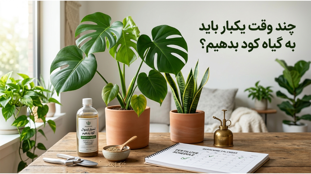 چند وقت یکبار باید به گیاه کود بدهیم؟