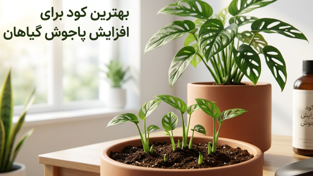 بهترین کود برای افزایش پاجوش گیاهان