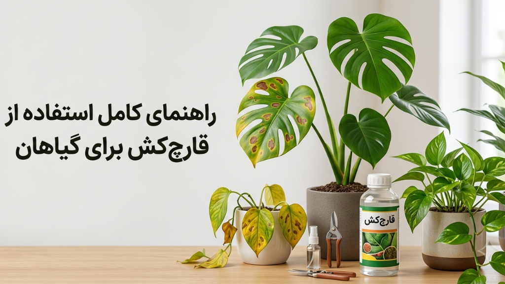 راهنمای کامل استفاده از قارچکش برای گیاهان