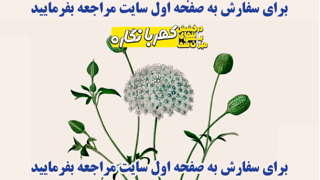 بنر تسلیت درختی