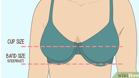 راهنمای انتخاب سایز سوتین: سادهترین روش برای خرید سوتین درست