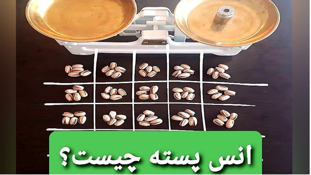 انس پسته چیست؟