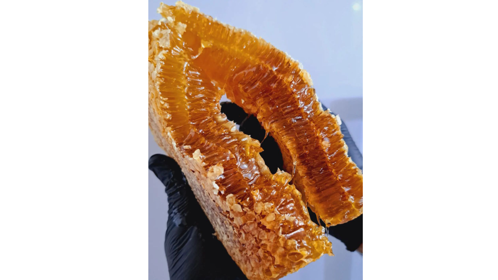 عسل طبیعی اردبیل ؛ طلای شیرین طبیعت و راز سلامتی انسان