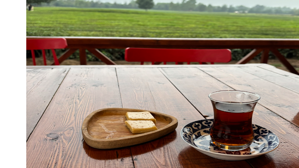 چای لاهیجان