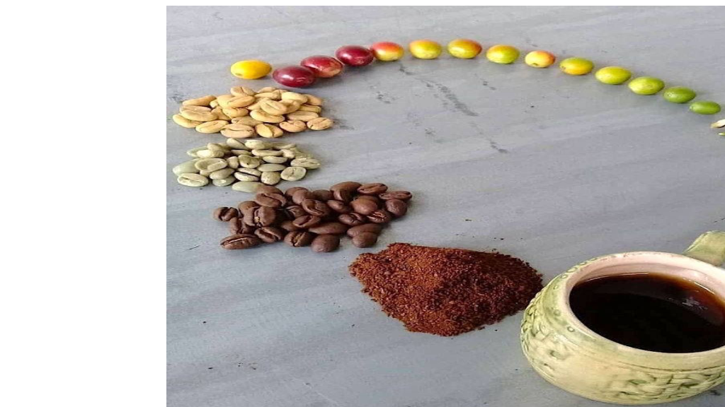 شرایط نگهداری قهوه از دان سبز تا قهوه رست شده