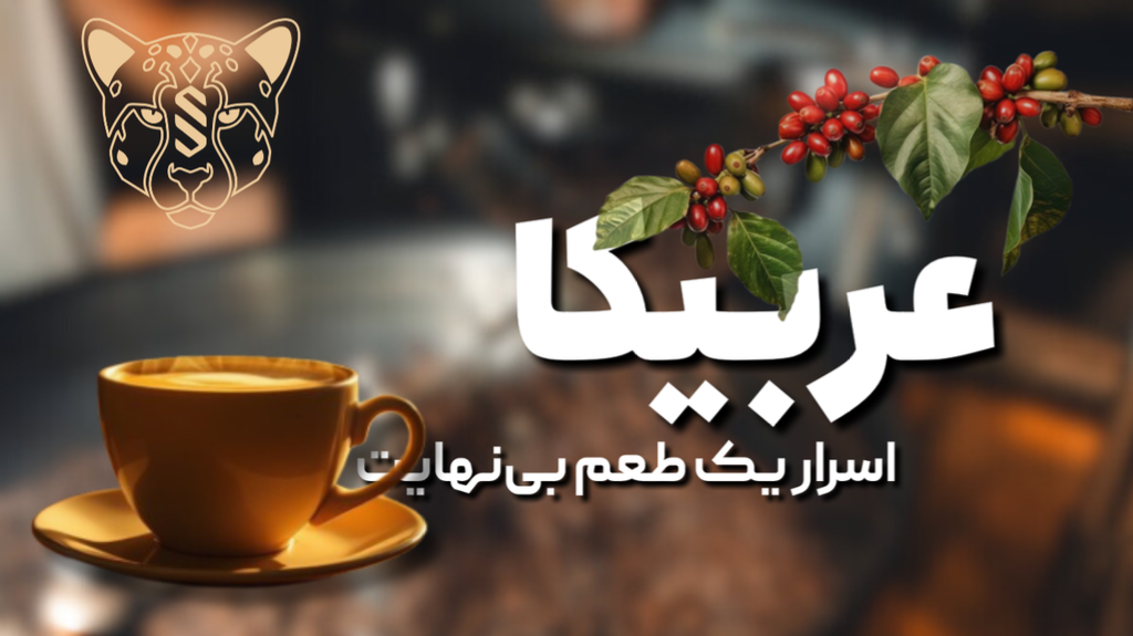 دانه قهوه عربیکا همه‌چیز درباره این جواهر صنعت قهوه