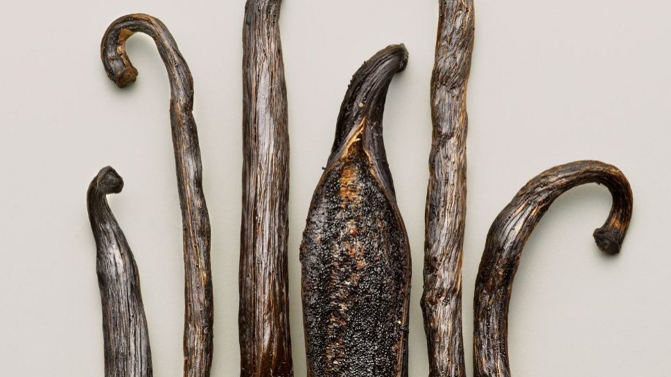 تاریخچهی عطر: از دود مقدس تا رایحههای مدرن