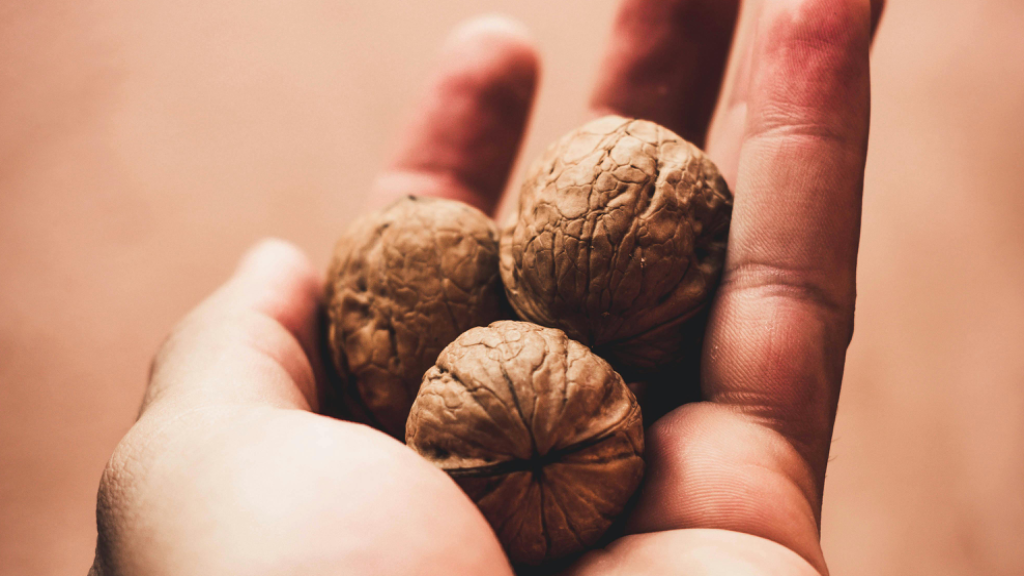 فواید درمانی گردو