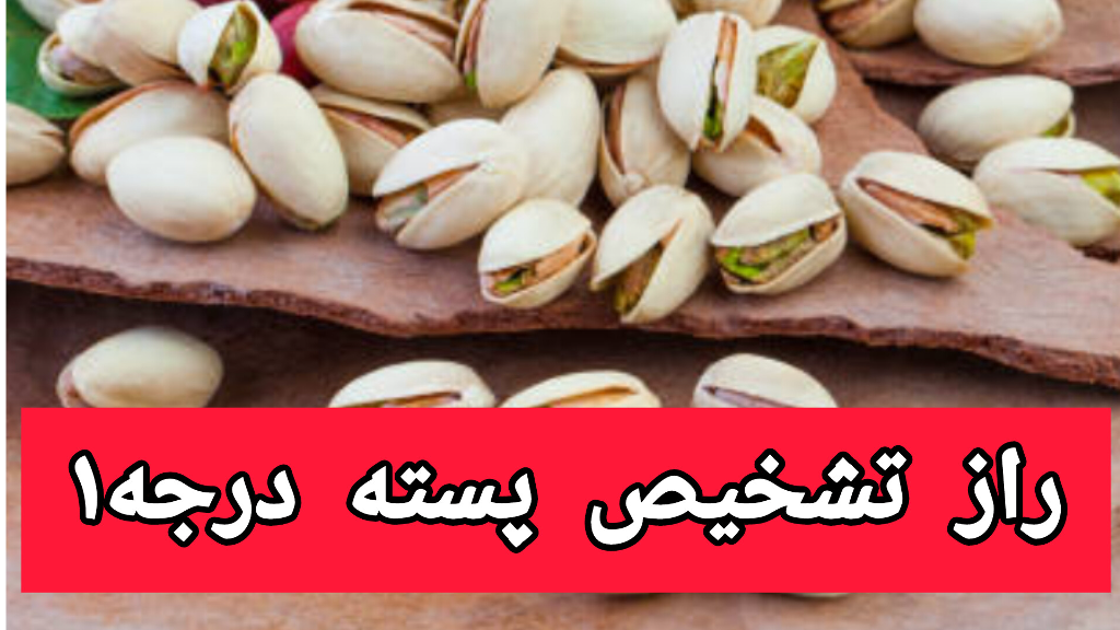 تشخیص پسته درجه1