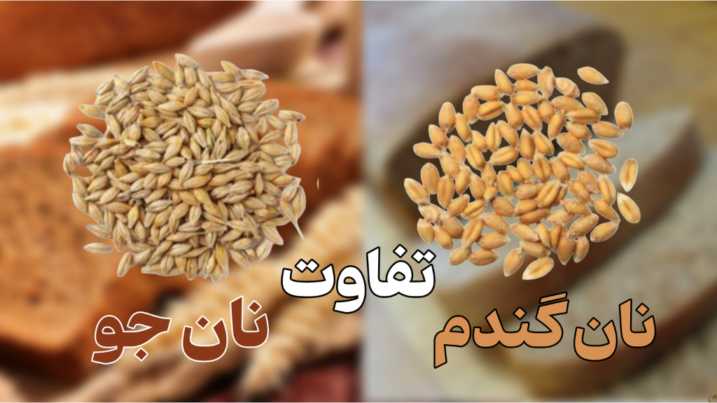 تفاوت نان گندم و نان جو !
