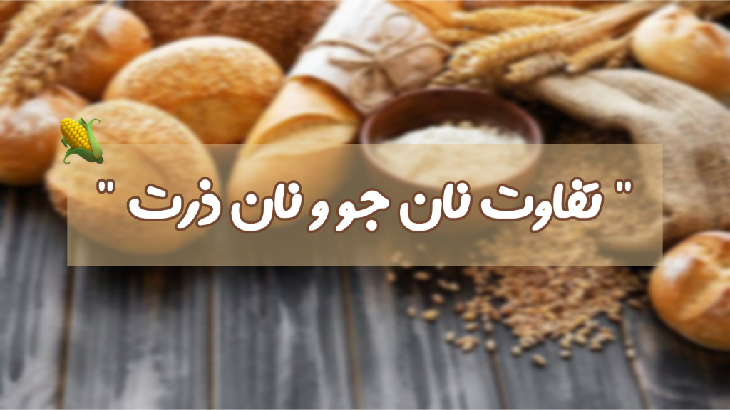 تفاوت نان ذرت با نان جو در چیست؟