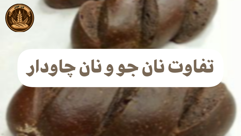نان جو یا نان چاودار؟ کدام سالم‌تر است