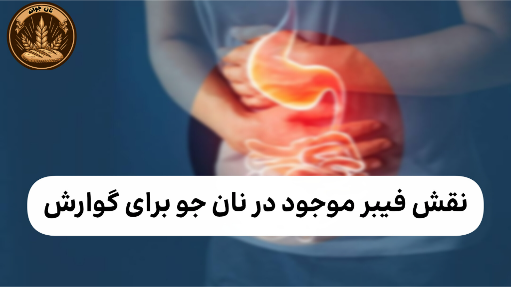 نقش فیبر موجود در نان جو در گوارش...