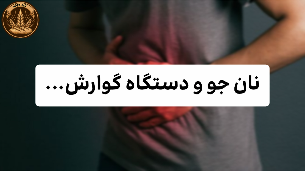 فواید فیبر موجود در نان جو برای دستگاه گوارش
