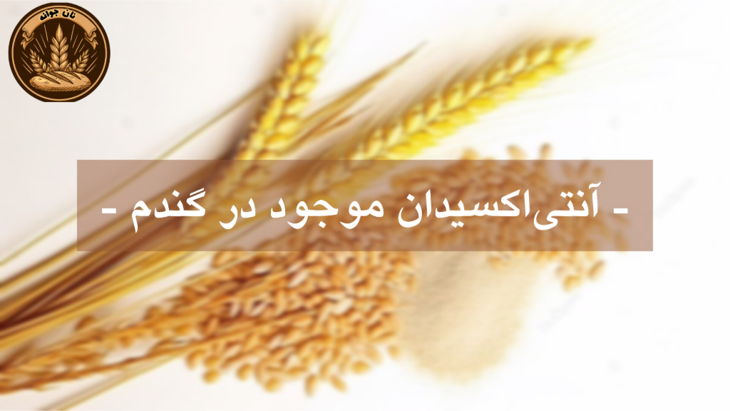 اثر آنتی‌اکسیدان‌های موجود در گندم...
