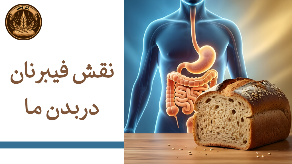 نقش فیبر در نان گندم کامل و اثر آن بر بدن