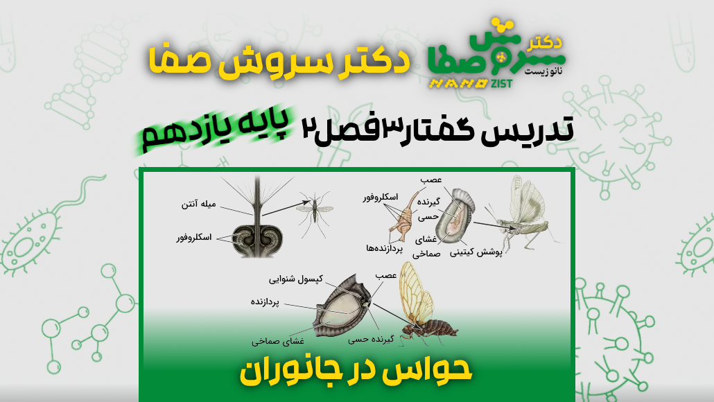 تدریس گفتار 3 فصل 2 زیست یازدهم : حواس در جانوران