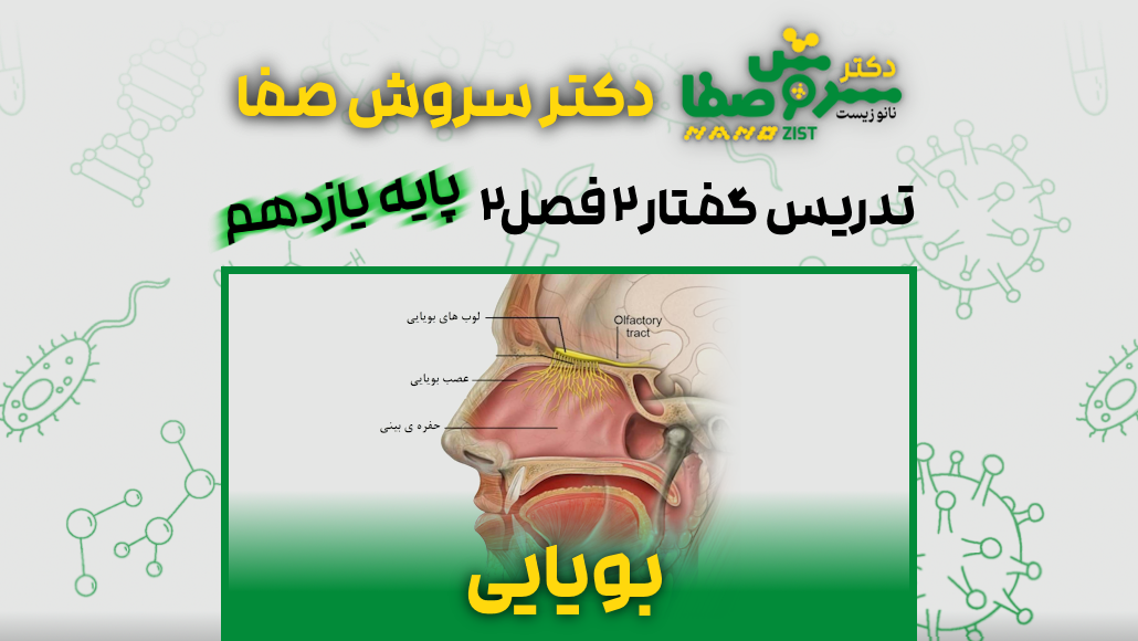 تدریس گفتار 2 فصل 2 زیست یازدهم : بویایی