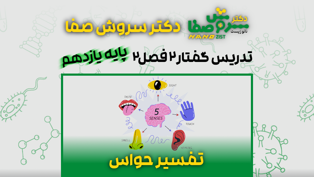 تدریس گفتار 2 فصل 2 زیست یازدهم : تفسیر حواس