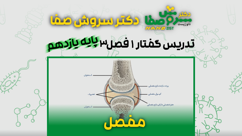 تدریس گفتار 1 فصل 3 زیست یازدهم : مفصل