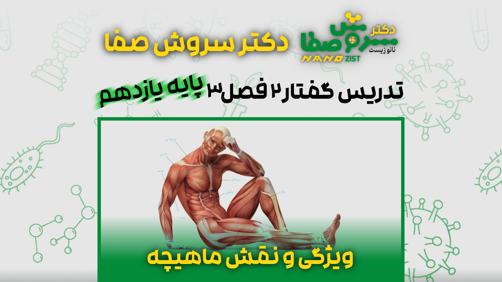 تدریس گفتار 2 فصل 3 زیست یازدهم : ویژگی و نقش ماهیچه