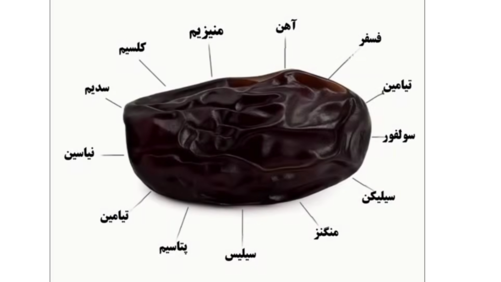 خرما در ایران. تاریخ و فواید