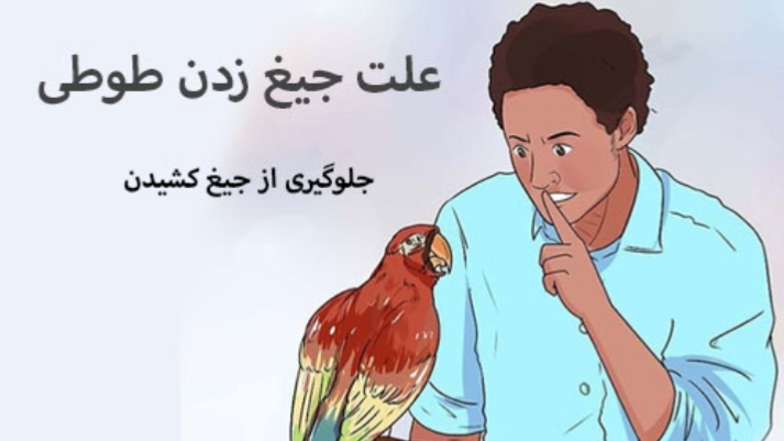 علائم جیغ زدن طوطیسانان و کنترل آن