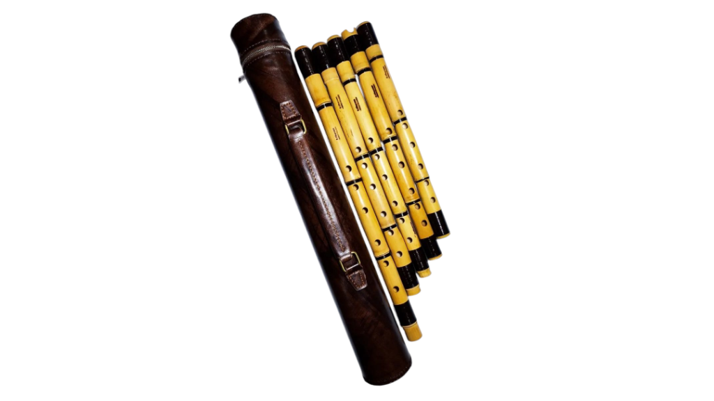 نحوه نگهداری نی