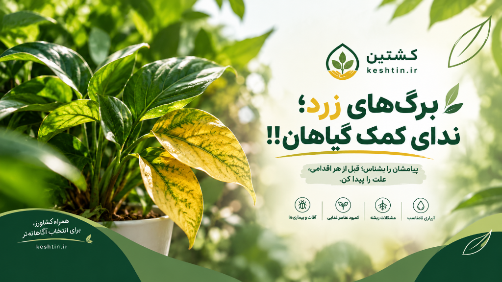 برگ‌های زرد؛ ندای کمک گیاهان!!