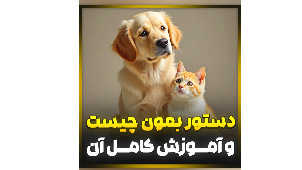 آموزش رایگان سگ دستور بمون برای سگ