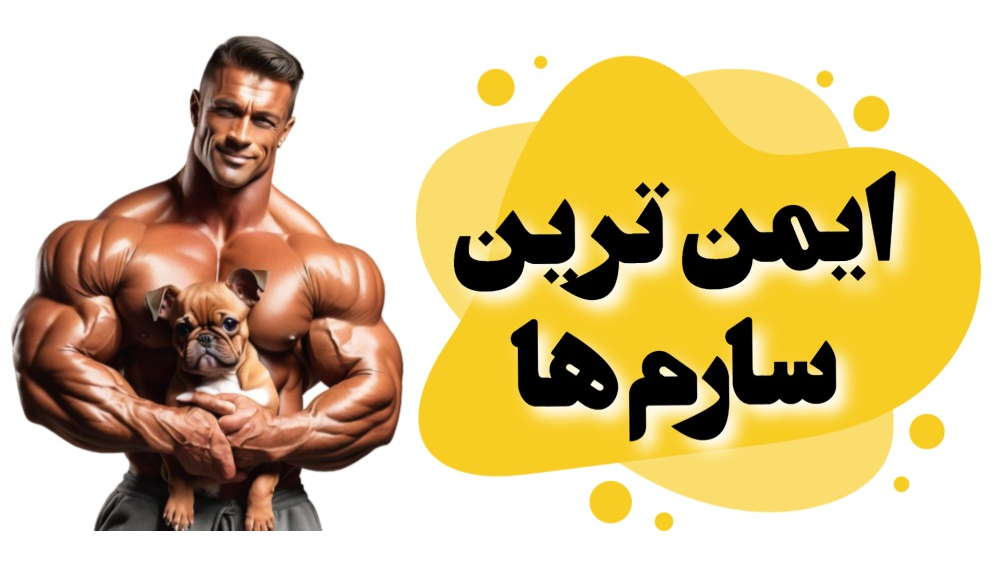 ایمن ترین سارم ها