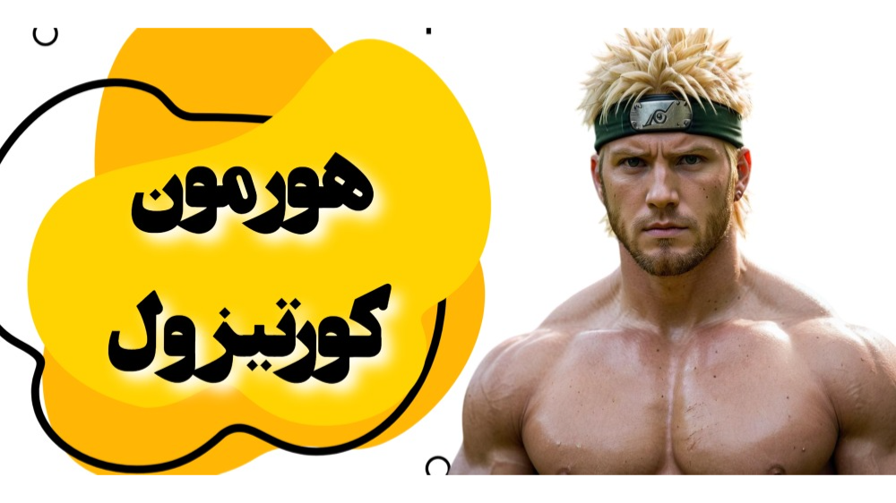 هورمون کورتیزول چیست و چه کاری انجام می دهد؟