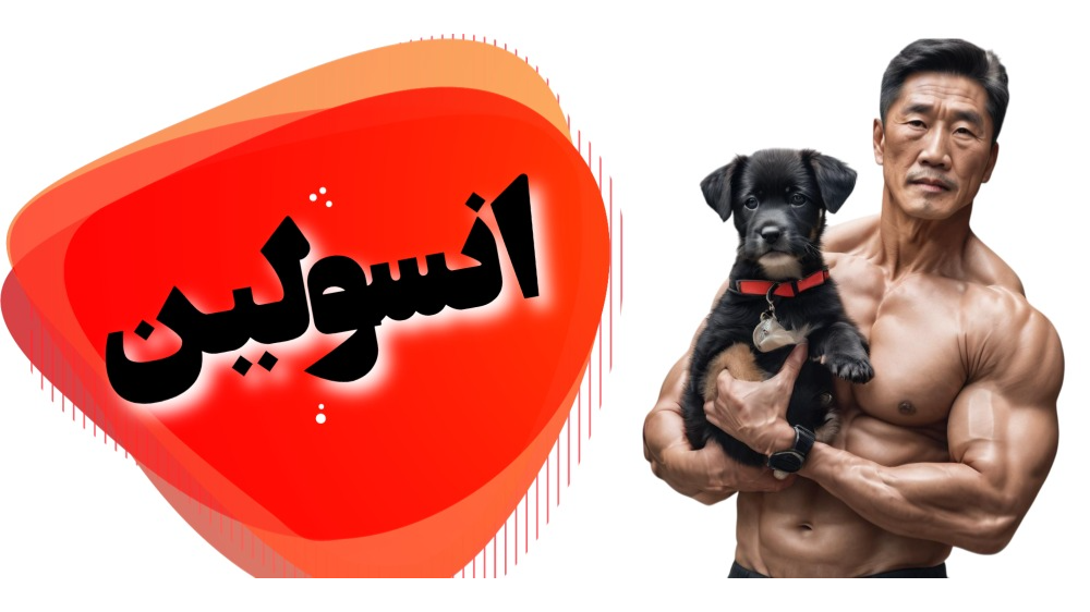 انسولین