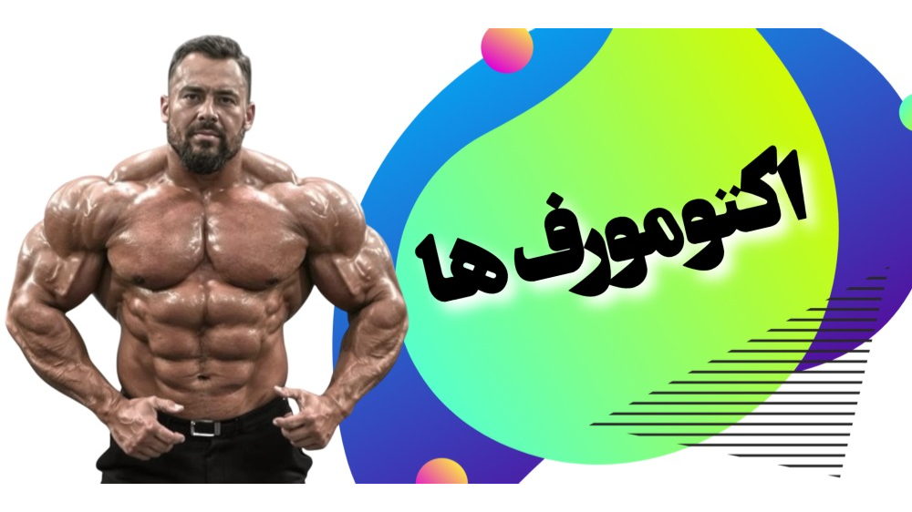 اکتومورف