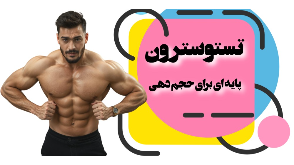 تستوسترون: پایهای برای حجمدهی