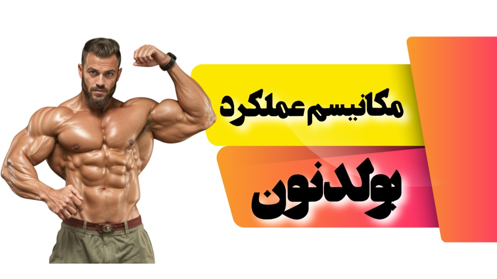 مکانیسم عملکرد بولدنون