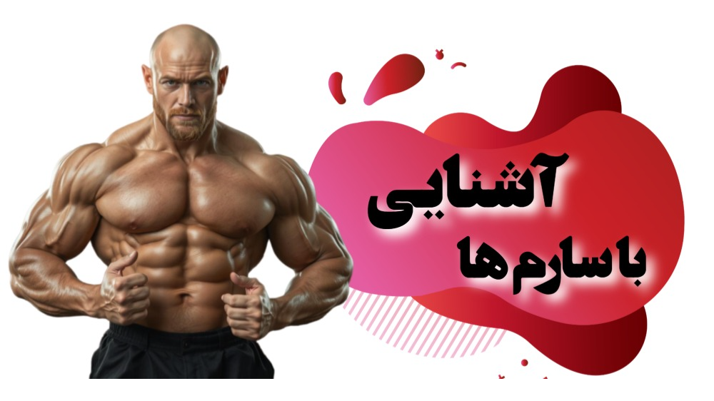 آشنایی با سارم ها