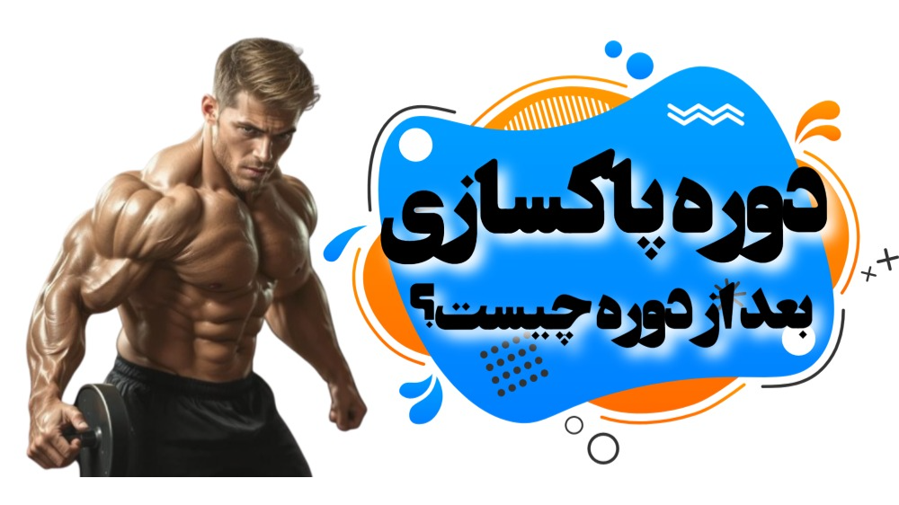 دوره پاکسازی چیست؟
