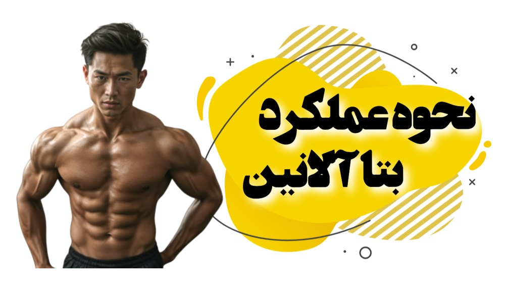 نحوه عملکرد بتا آلانین